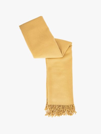 Soft Silk Fringed Scarf